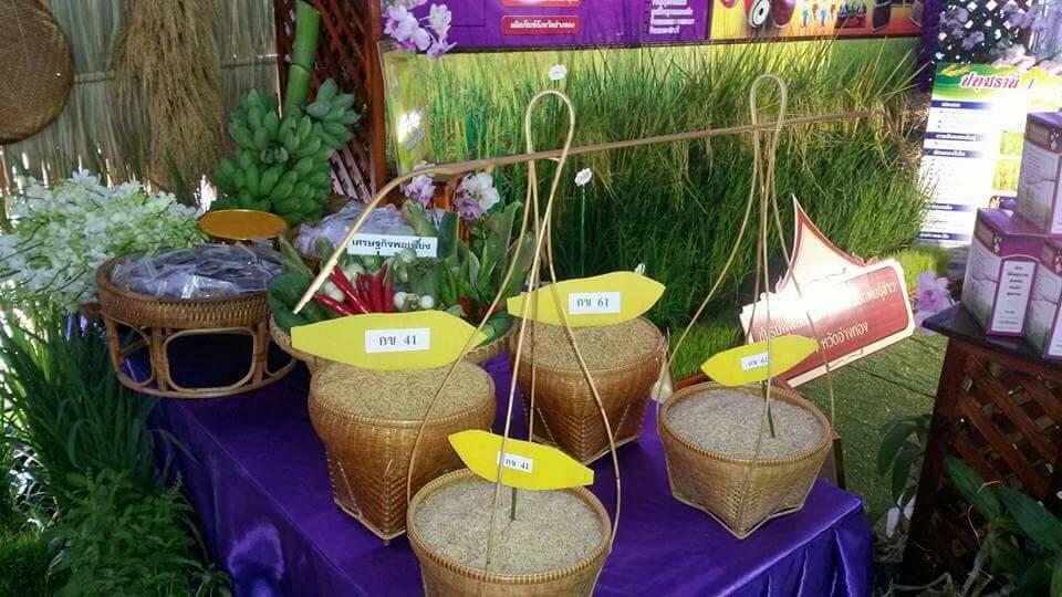 From the rice community