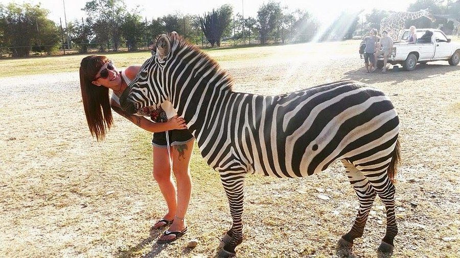 La Tanière du Dragon