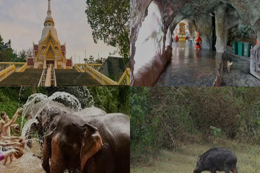 Temples de Hua Hin & Safari Éléphants