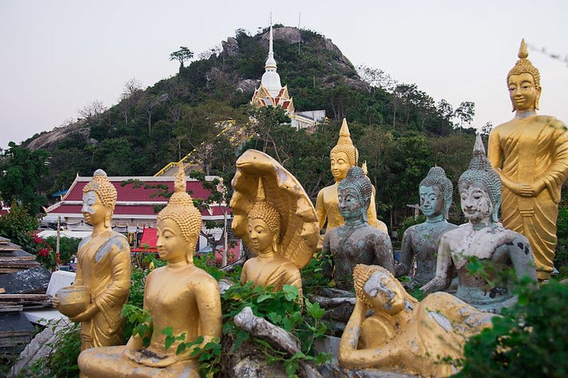 Hua Hin Temples & Wild Elephants