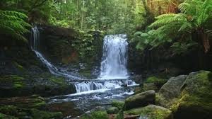 Visite du Parc Jurassique