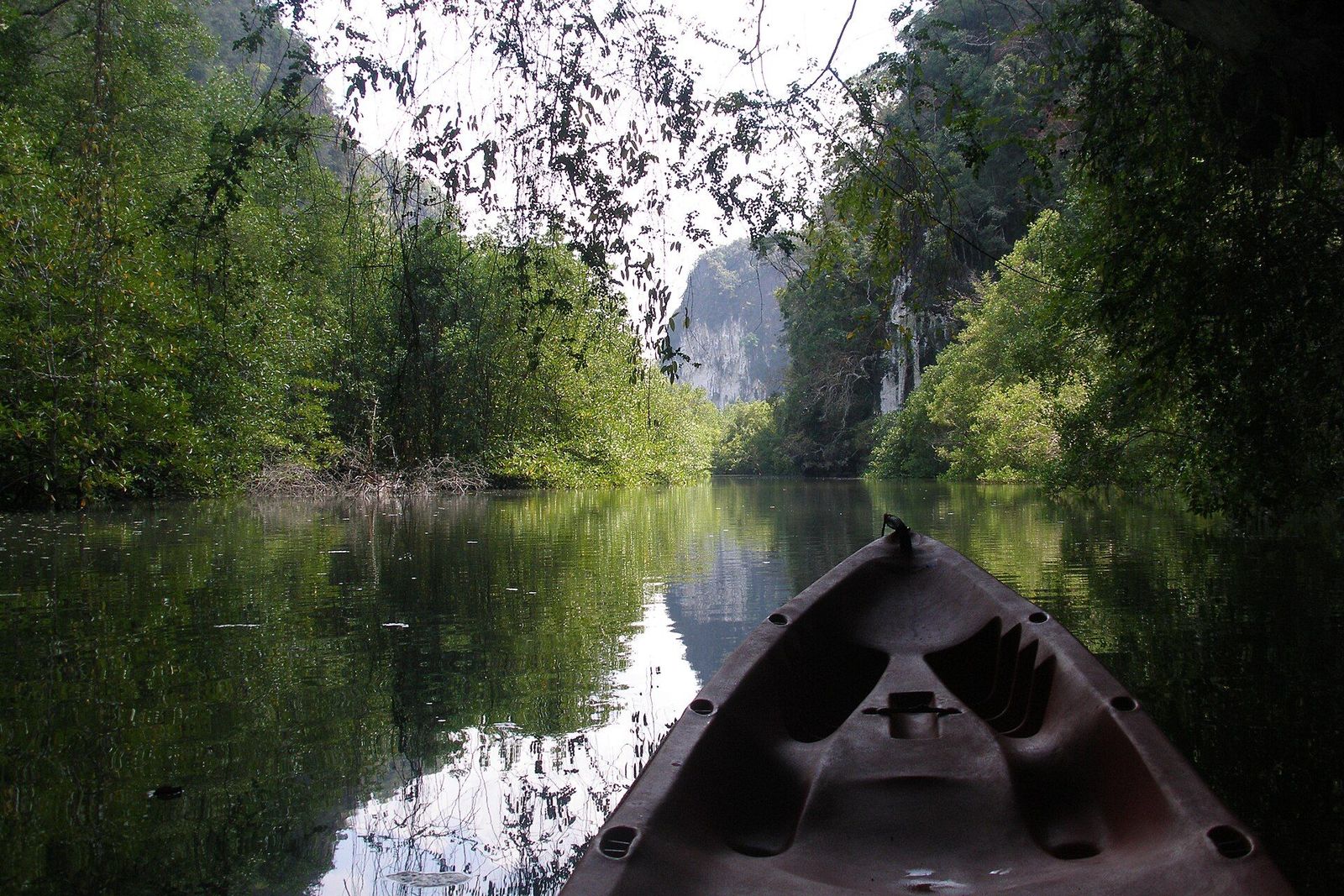 Mangroven und Kalkstein im Norden von Krabi.