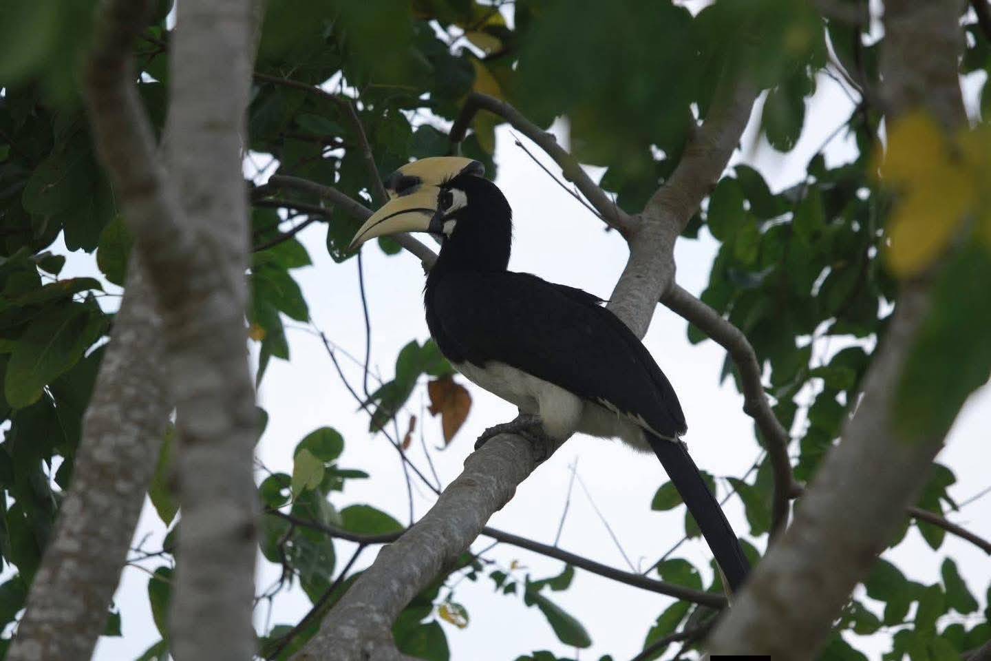 Paisajes y safari en 4×4