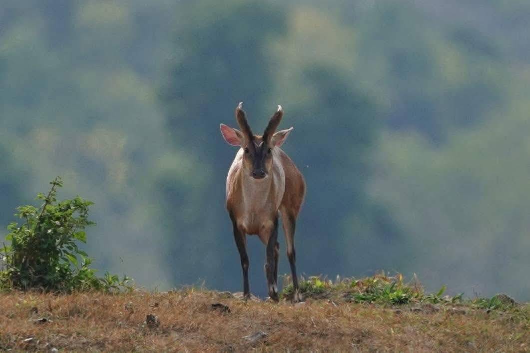 Zona de observación al atardecer