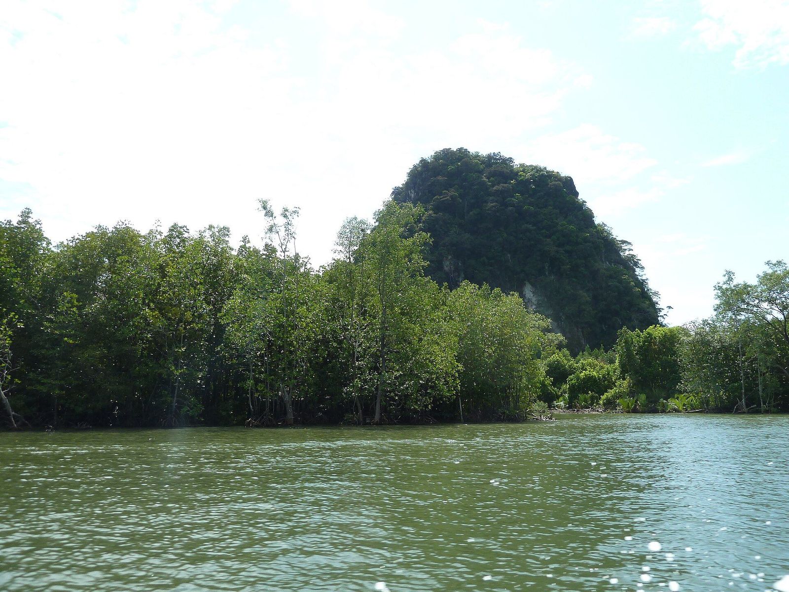Mangroven aan de baai van Phang Nga.