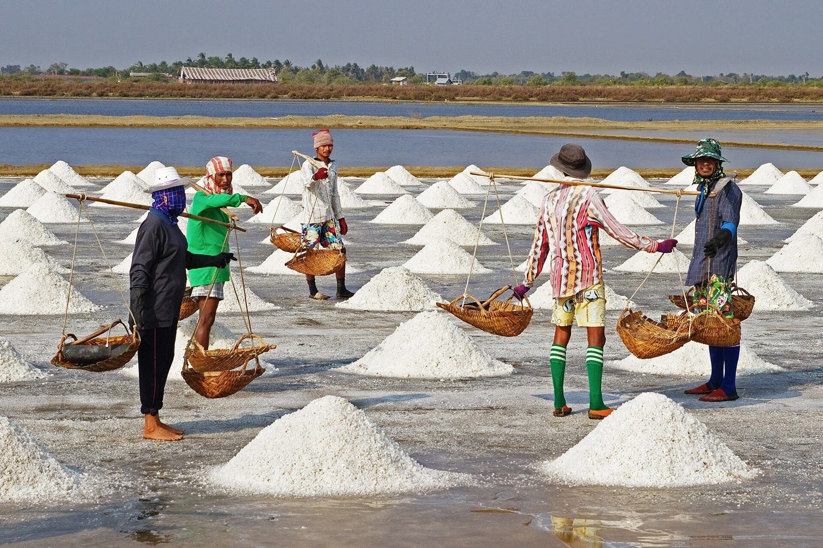 Salt harvest at Pak Thale.